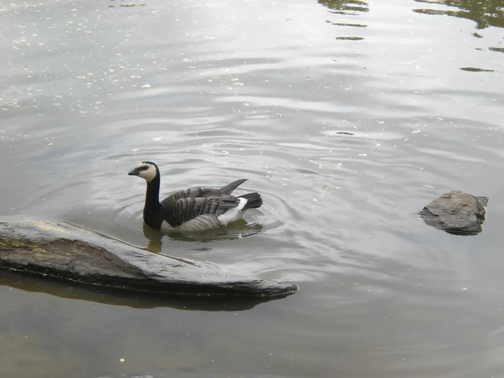 Cloud Computing Technology Concept